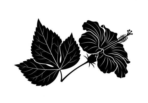 Black Silhouette of Hibiscus Flower