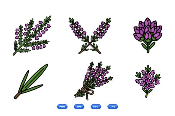 Lavender Botanical Clipart Set Review
